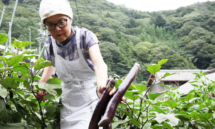 【都内忙しく働く大人の味方野菜不足必見！】｜ 都内八百屋厳選3選